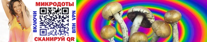 МЕГА ссылка  Обнинск  Псилоцибиновые грибы Psilocybine cubensis 